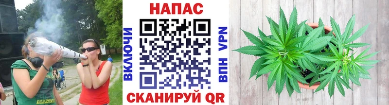 Бошки Шишки гибрид  что такое   Салаир 
